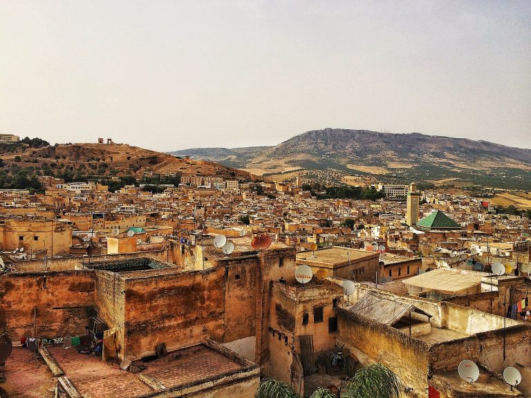 Vue sur la médina de Fès el-Bali