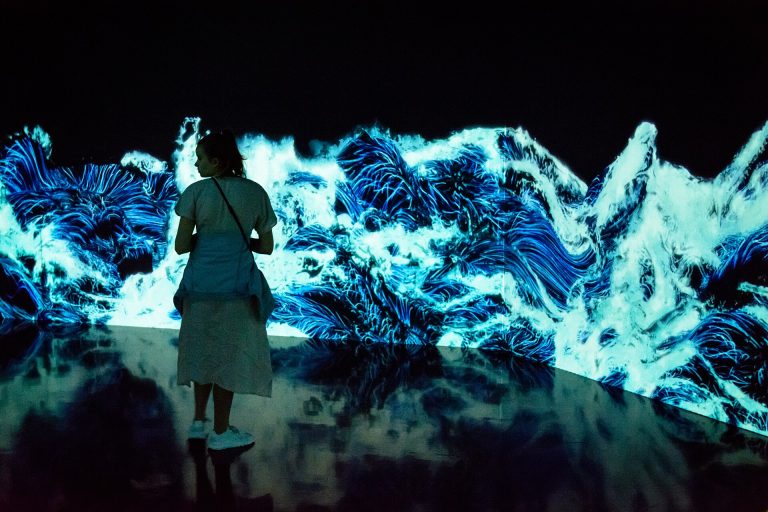 Art numerique immersif teamLab, Tokyo