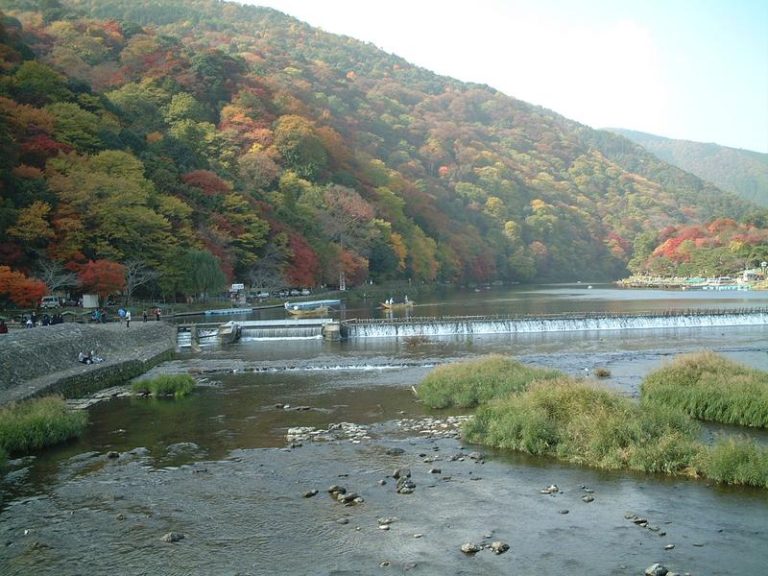 Bambouseraie d'Arashiyama