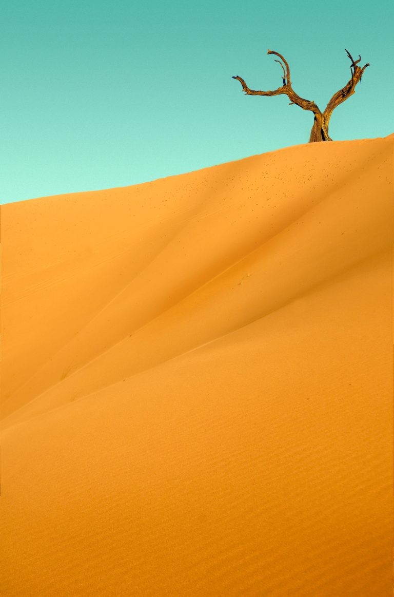 Caravane de dromadaires dans l'erg Chebbi