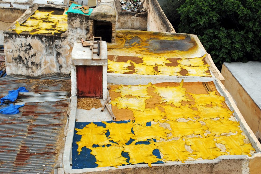 Les tanneries Chouara de Fès