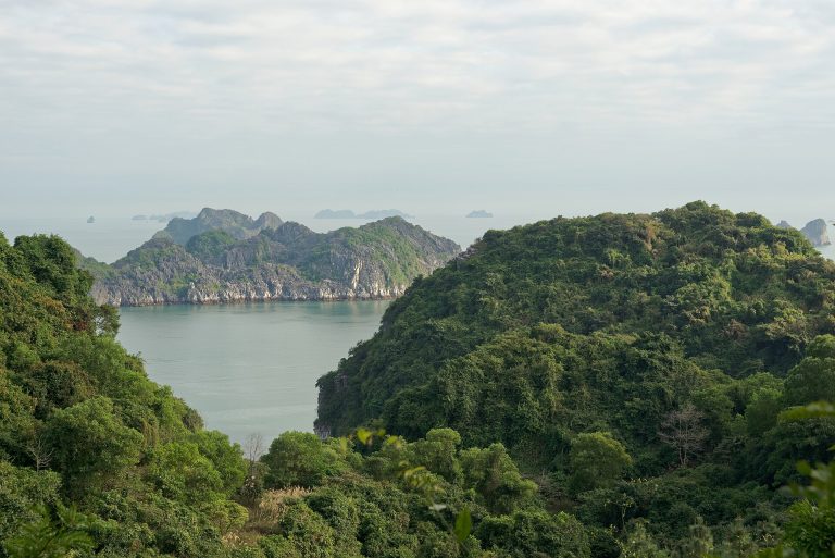 L'ile de Cat Ba et la baie de Lan Ha