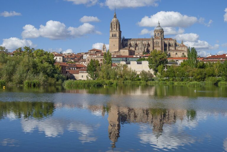 Les cathédrales de Salamanque reflétées dans le Tormes